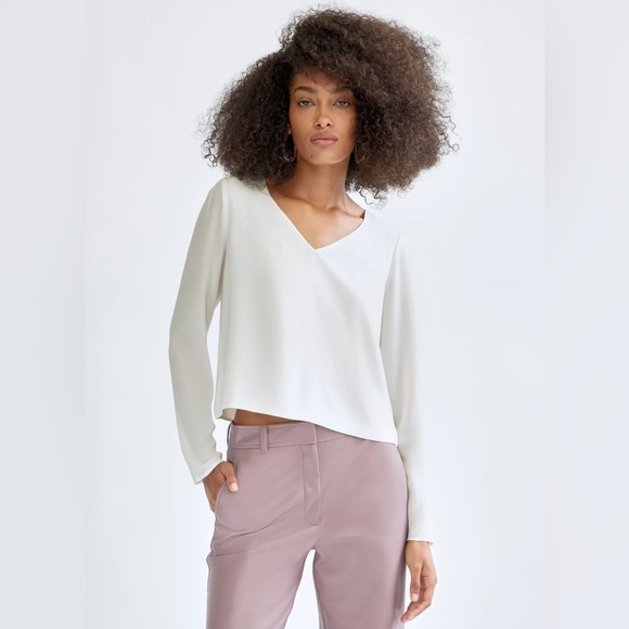 Aritzia Babaton Murphy Ling Sleeve V-neck Blouse - Picture 11 of 11